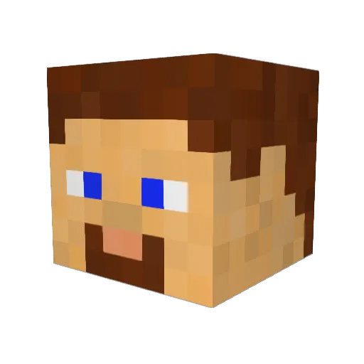 ryandailey31 Minecraft avatar head, 3D render