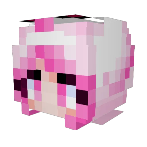 ryang_nyang Minecraft avatar head, 3D render