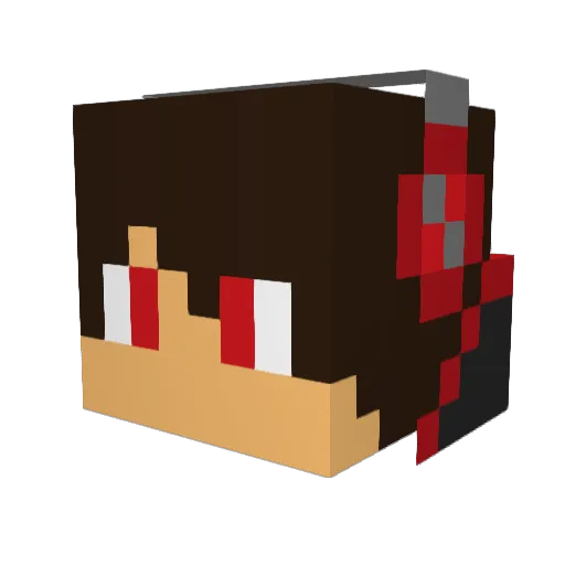 ryaniscool25 Minecraft avatar head, 3D render