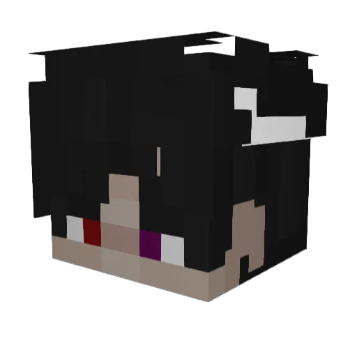 ryanisway2cool Minecraft avatar head, 3D render
