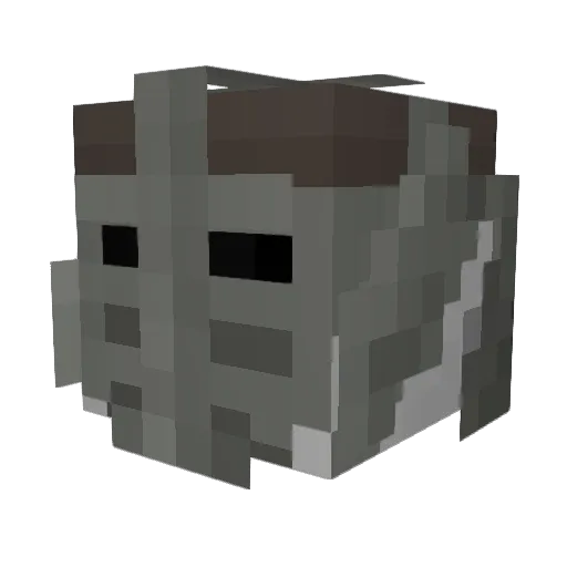 ryanmanix Minecraft avatar head, 3D render