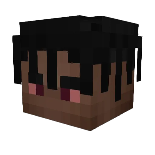ryanmarquesx Minecraft avatar head, 3D render