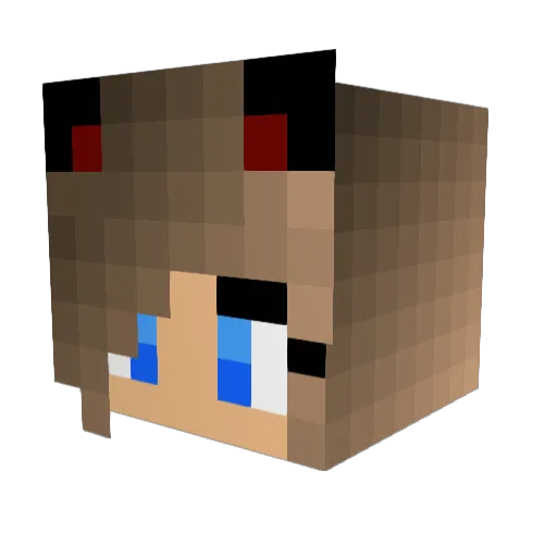 ryanmb2009 Minecraft avatar head, 3D render