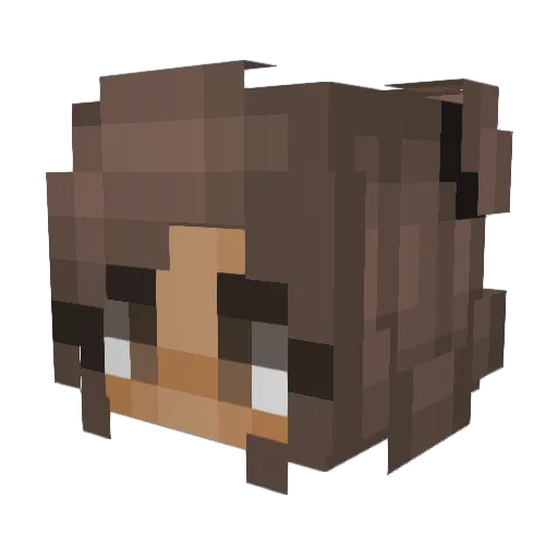 ryannlol Minecraft avatar head, 3D render