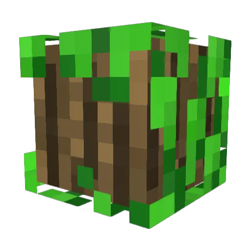 ryanrooster Minecraft avatar head, 3D render