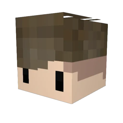 ryanrulez Minecraft avatar head, 3D render