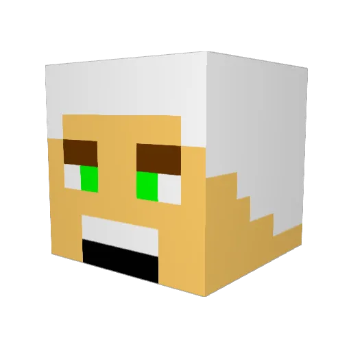 ryanthebeast99 Minecraft avatar head, 3D render