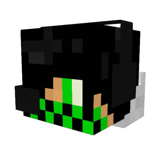 ryantheboss17 Minecraft avatar head, 3D render