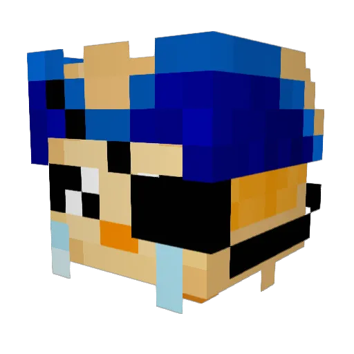 ryanthecoconut Minecraft avatar head, 3D render