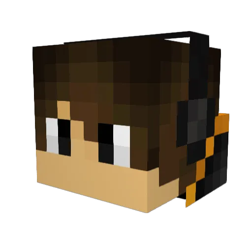 ryanthelion12 Minecraft avatar head, 3D render