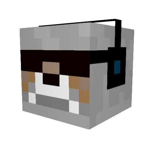ryanthog Minecraft avatar head, 3D render