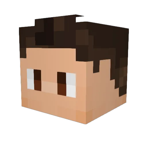 ryanverycool Minecraft avatar head, 3D render