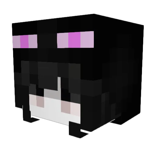 ryanyann Minecraft avatar head, 3D render