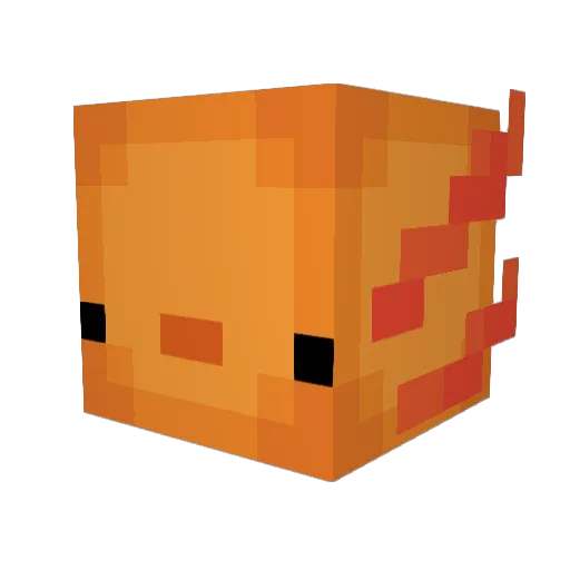 ryanysz Minecraft avatar head, 3D render
