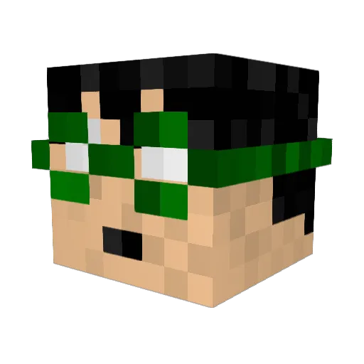 ryanzlion98 Minecraft avatar head, 3D render