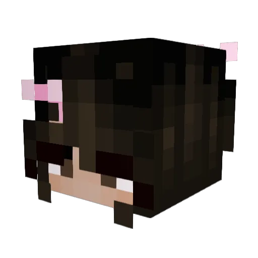 rydenondyx Minecraft avatar head, 3D render