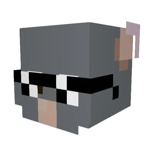ryderb11 Minecraft avatar head, 3D render