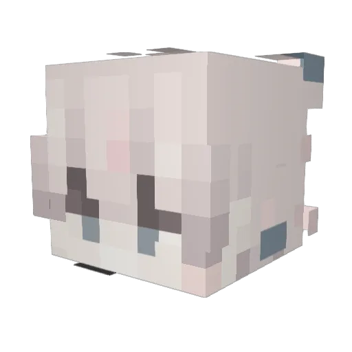ryderds Minecraft avatar head, 3D render