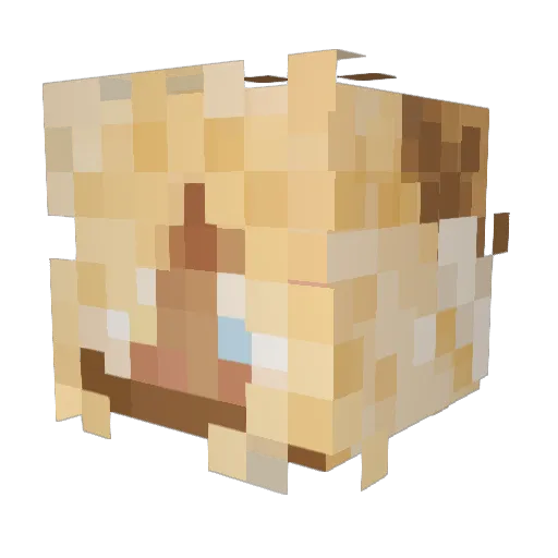 rydnaty Minecraft avatar head, 3D render