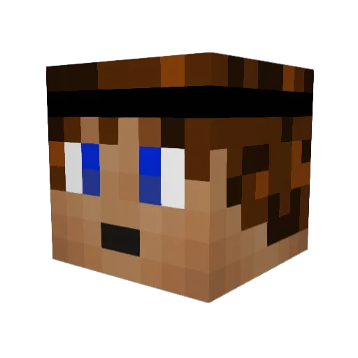 rydoorules Minecraft avatar head, 3D render