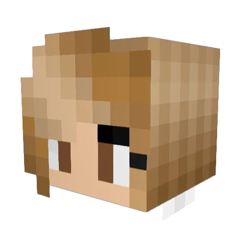 ryelea Minecraft avatar head, 3D render