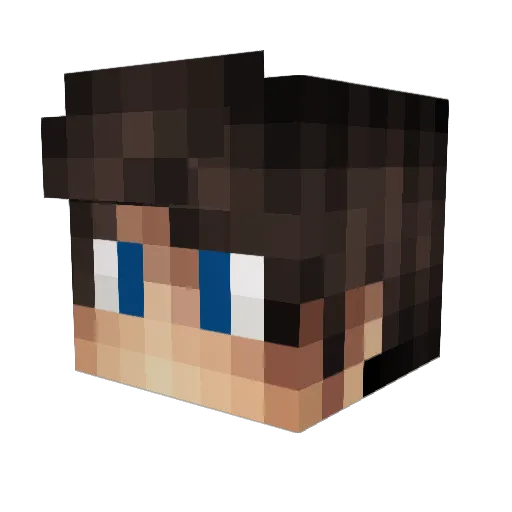 ryguy3496 Minecraft avatar head, 3D render