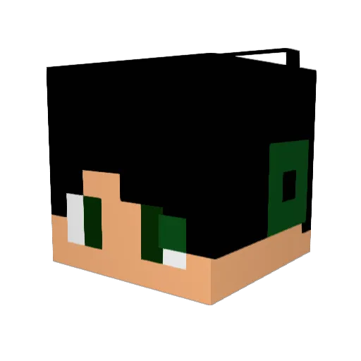 ryhu0508 Minecraft avatar head, 3D render