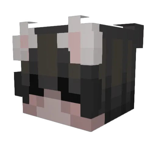 ryjcbb Minecraft avatar head, 3D render