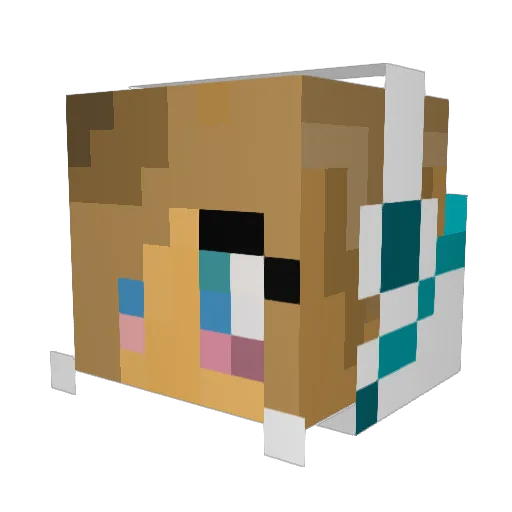 ryjit Minecraft avatar head, 3D render