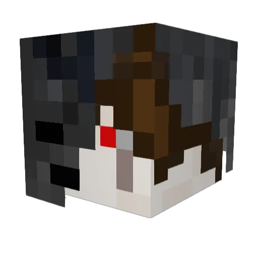 rykerhavland Minecraft avatar head, 3D render