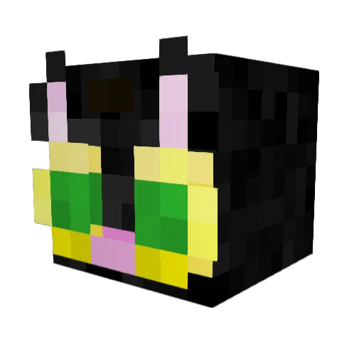 rykr14 Minecraft avatar head, 3D render
