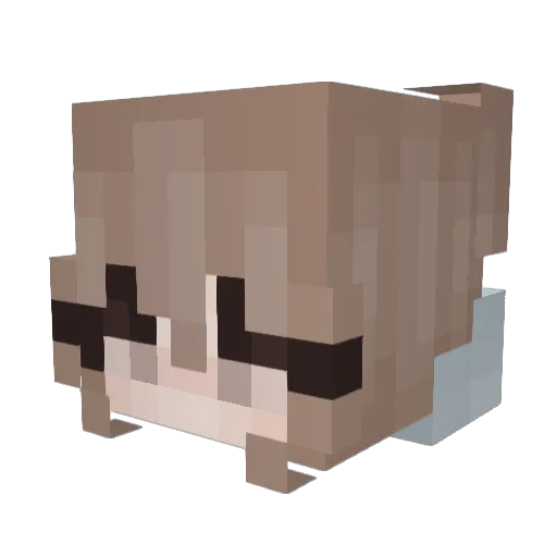 rylanikan Minecraft avatar head, 3D render