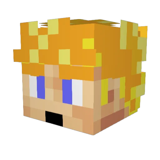 ryle2314 Minecraft avatar head, 3D render
