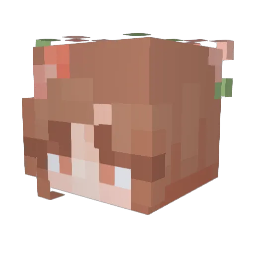rylee_witch Minecraft avatar head, 3D render
