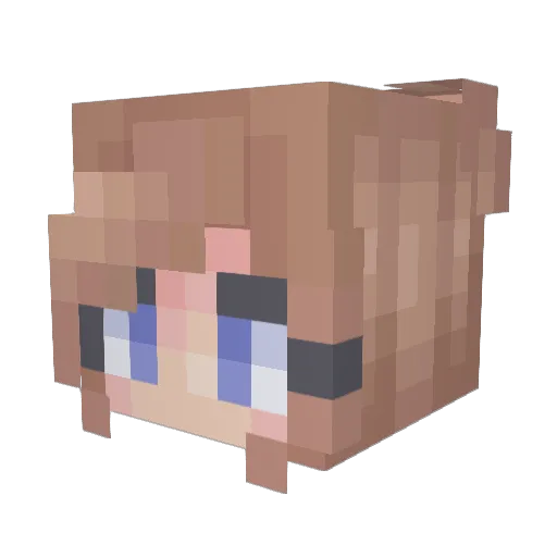 ryleyp Minecraft avatar head, 3D render