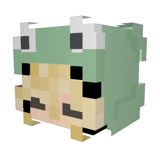 rylie1800 Minecraft avatar head, 3D render