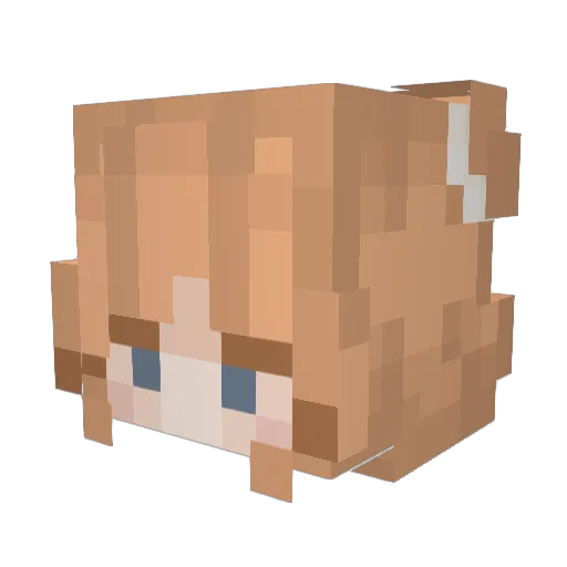 ryliewins Minecraft avatar head, 3D render