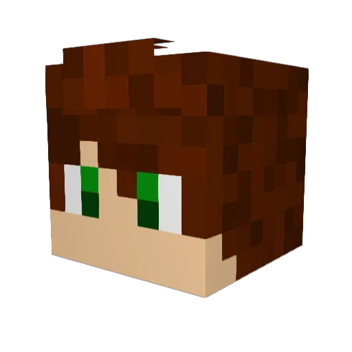 rylo2x Minecraft avatar head, 3D render