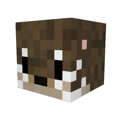 rynix3 Minecraft avatar head, 3D render