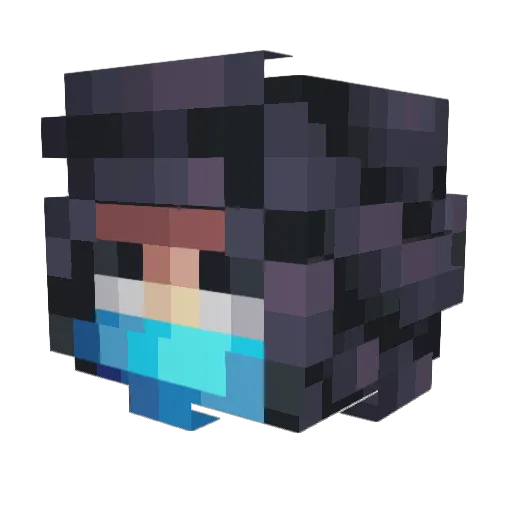 rynkait Minecraft avatar head, 3D render