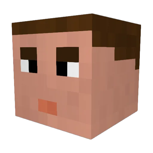 rynnerd_ Minecraft avatar head, 3D render