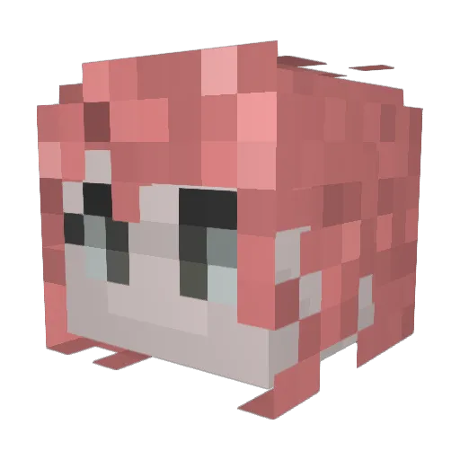 rynsomnia Minecraft avatar head, 3D render