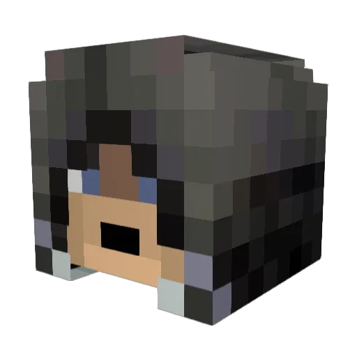ryoJINX27 Minecraft avatar head, 3D render