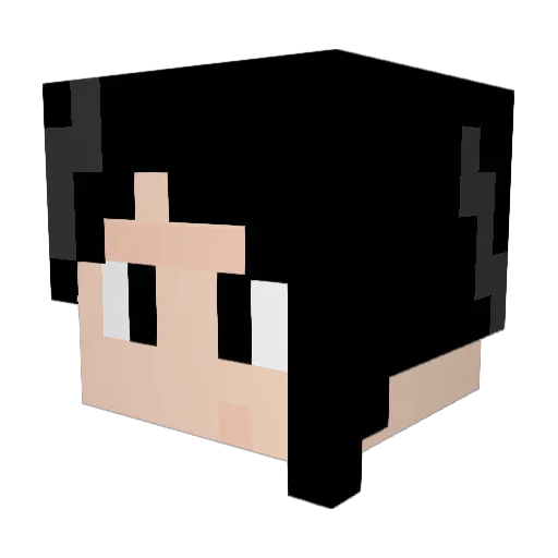 ryo_tok Minecraft avatar head, 3D render