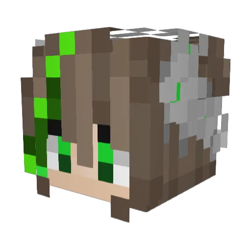ryokurage Minecraft avatar head, 3D render