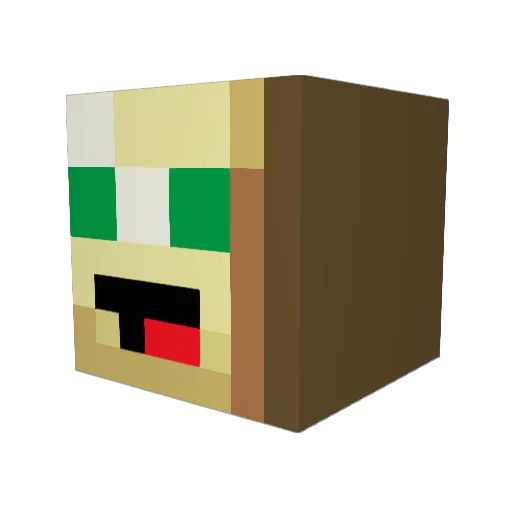 ryory117 Minecraft avatar head, 3D render