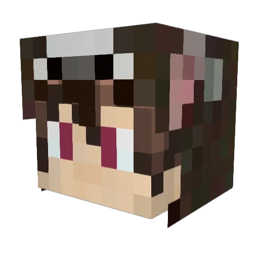 ryotaking Minecraft avatar head, 3D render