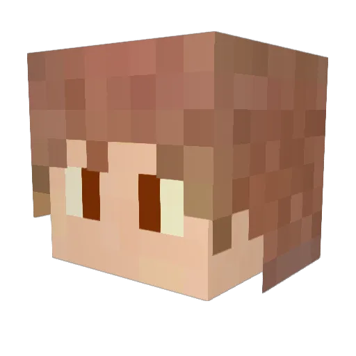 ryoukun220 Minecraft avatar head, 3D render