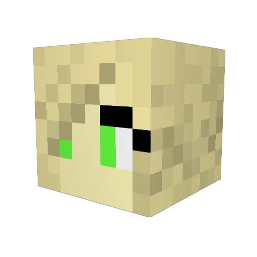 ryry1098 Minecraft avatar head, 3D render