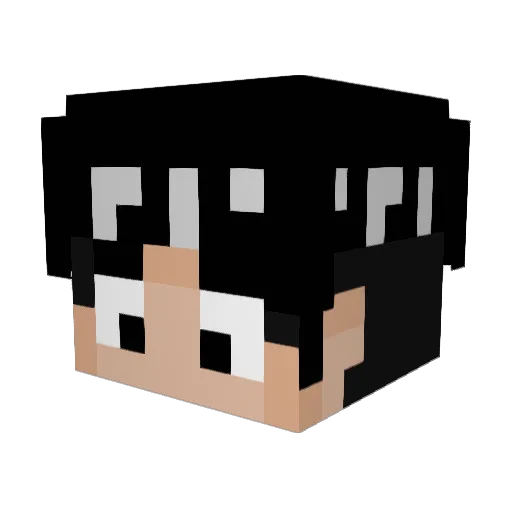 ryry2fly67 Minecraft avatar head, 3D render